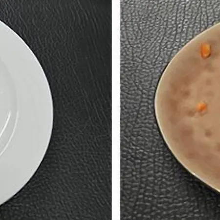 Le Temps Des Saveurs